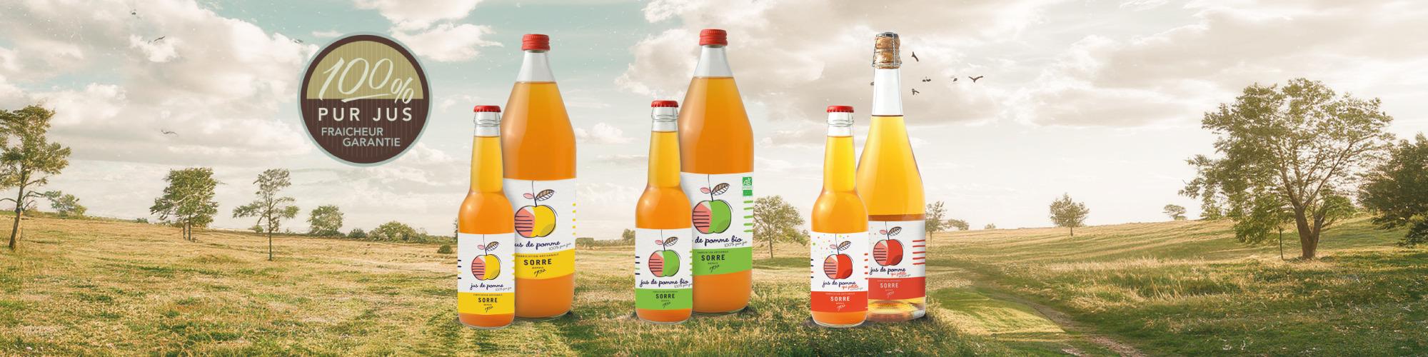 Du cidre breton à la Cidrerie Sorre