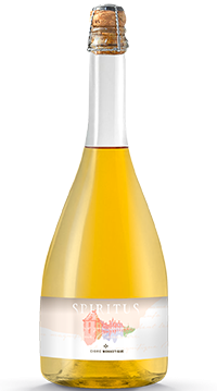 Du cidre breton à la Cidrerie Sorre